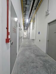 Mauser Singapore (D22), Factory #572095441